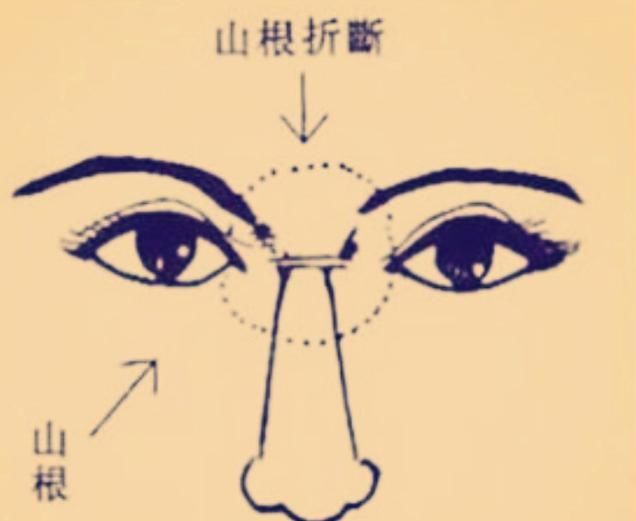 折,再加眉眼不秀者,主其人青中年事业少成,且眉毛浓秀再加地阁方圆者