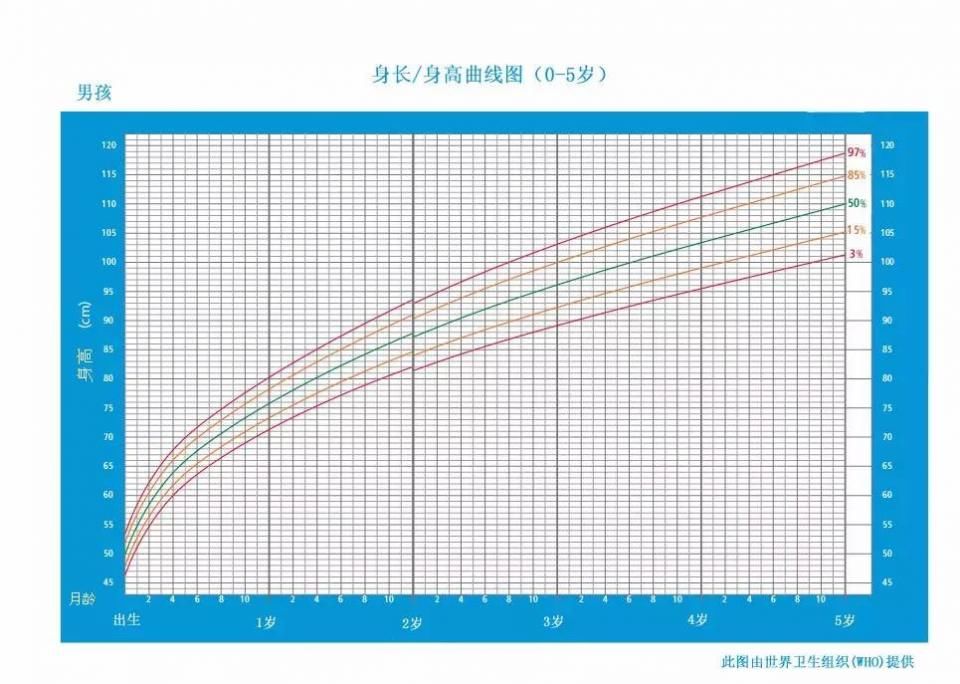 0-5岁宝宝成长发育曲线图大全,别再跟别人家孩子比了