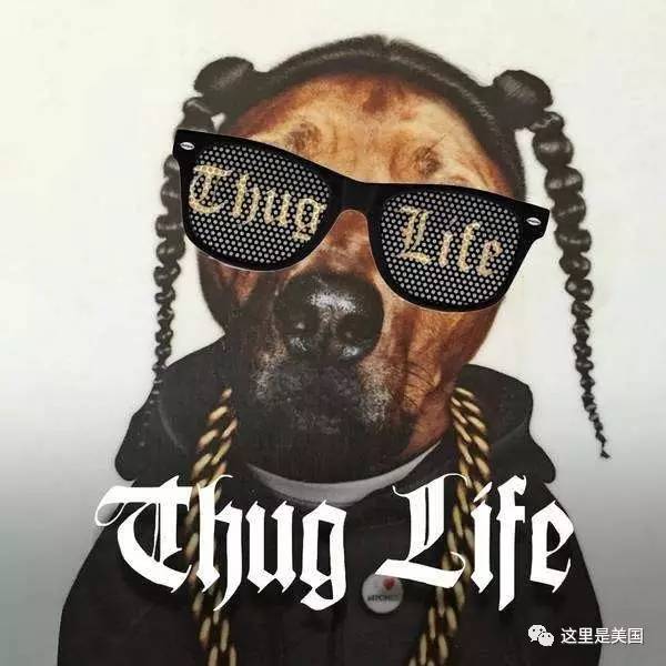 中国有嘻哈图片