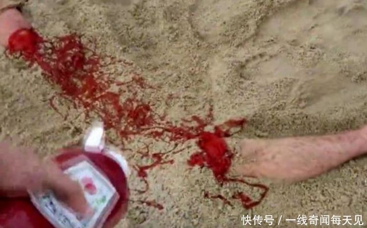 男子坐在地上腿断了,"鲜血"染红沙滩,游客得知真相想揍他
