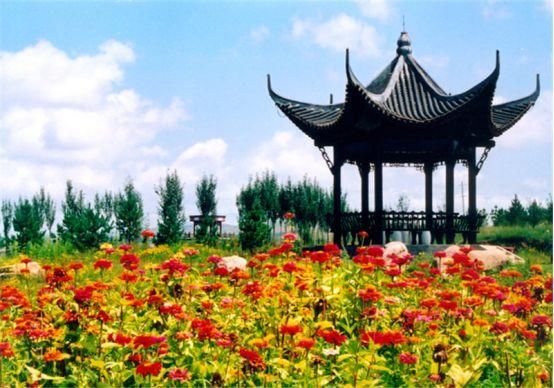 指南|内蒙古花期时刻表跟着花季去旅行!