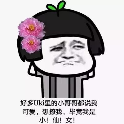 仙女专用表情包:请记住我的名字,我叫小仙女!