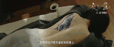 韩国电影《小姐》上映前 你还可以看这些片子