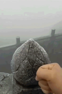 瓶子救二哈 搞笑gif:英雄不问出处,作死不问坟墓,看到结局我就放心了