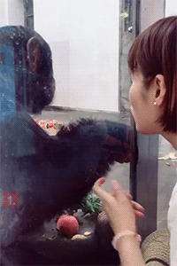 爆笑gif:新婚之日当众卸妆,还有这么大胆的新娘!