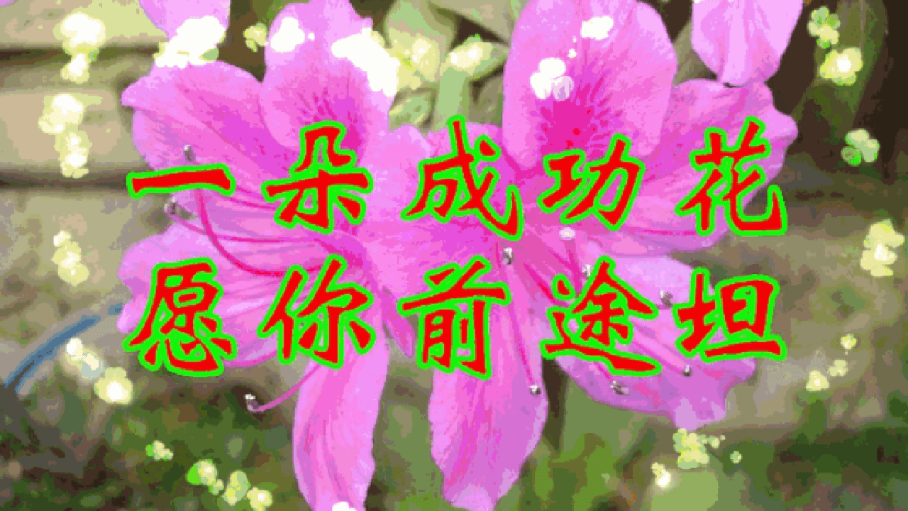 壁纸 花 桌面 1280_720 gif 动态图 动图