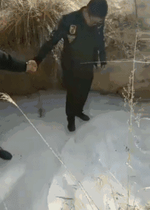 搞笑gif:好看的皮囊千篇一律,有趣的灵魂两百多斤