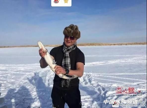 新疆福海乌伦古湖新年第一捕出鱼两吨