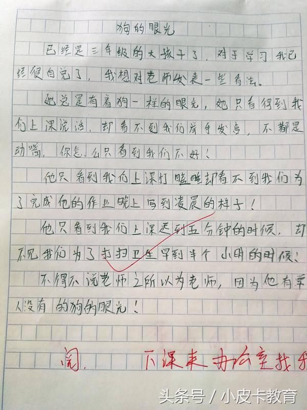 小学生作文《狗的眼光》,老师强忍内心愤怒,老师:下课