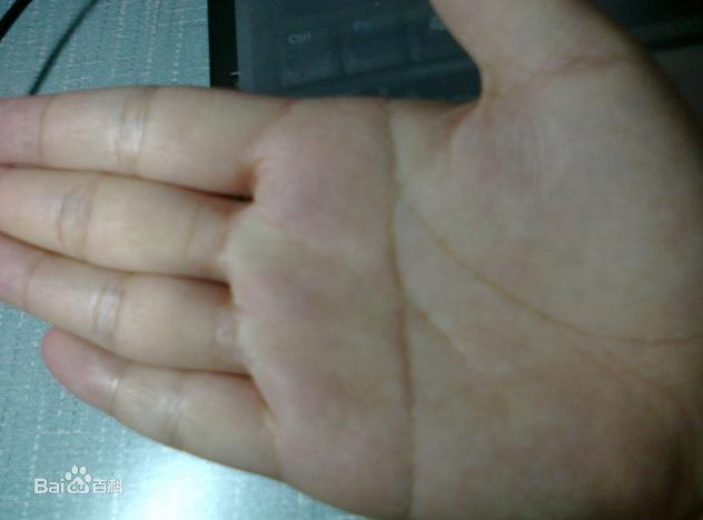 手相断掌的女人命运真的这么可怕?