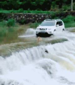 搞笑gif:哥们,你一个人吃一桌宴席,这面子大啊!