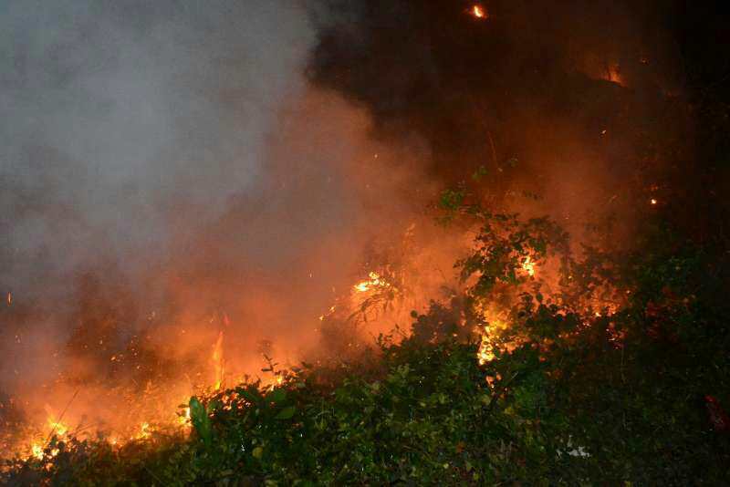 梦见大火,预示未来挑战与变革的预兆 梦见大火,预示未来挑战与变革的预兆