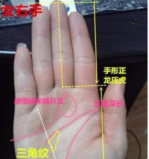 "这里"越长,男人的命就越长,一生无病无灾,福大命大