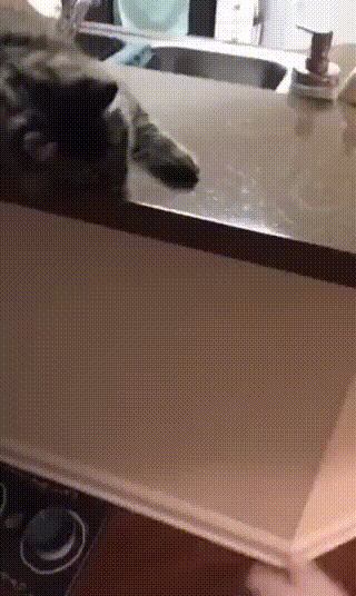 大王爆笑gif趣图:妹妹你坐船头噢哦,哥哥我岸上走