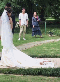 高尔夫 244_337 竖版 竖屏 gif 动态图 动图