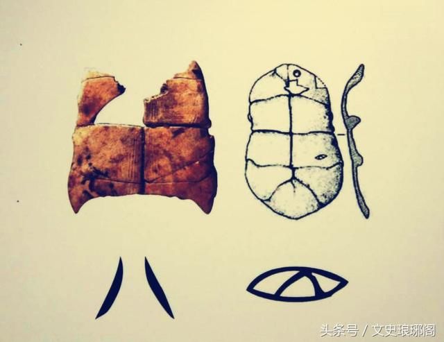 商朝的龟甲 除了文字以外,贾湖遗址的先民和商朝人一样,对乌龟有着