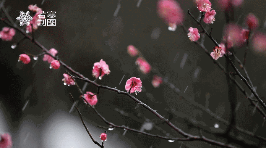 蝶恋花诗词二首 作者庞敏