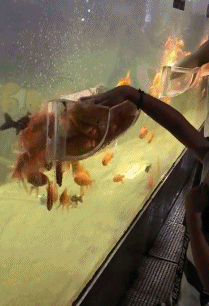 搞笑gif:英雄不问出处,作死不问坟墓,看到结局我就放心了~ 搞笑gif