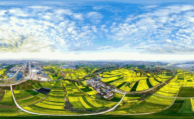 壁纸 成片种植 风景 植物 种植基地 桌面 640_392 gif 动态图 动图