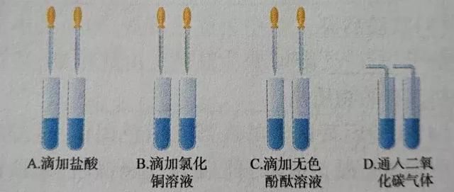 例1小明为了区别氢氧化钠溶液和澄清石灰水,设计了下列实验方案,其中