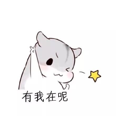 以上图片来自网络,特此说明(表情包小师妹宣)