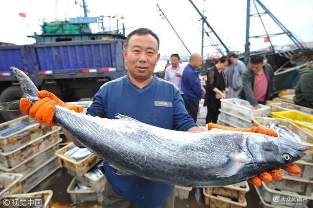 鲅鱼鲜螃蟹肥!青岛海产品大量上市 满足市民好口福