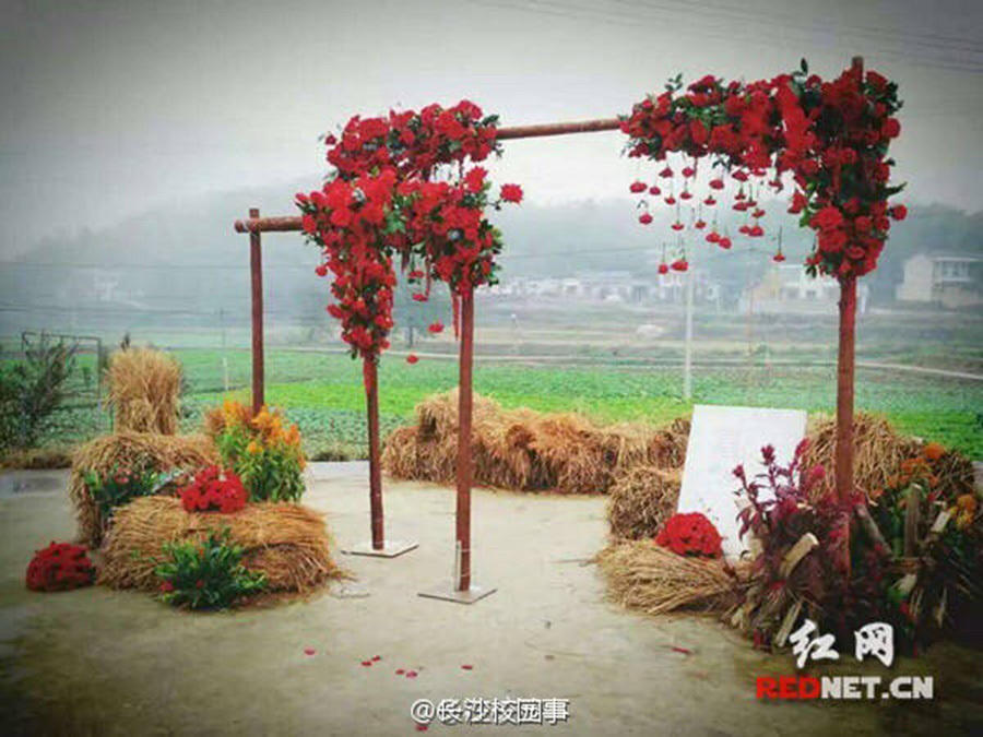 这婚礼给满分!新人办乡野婚礼 稻草柴火布景