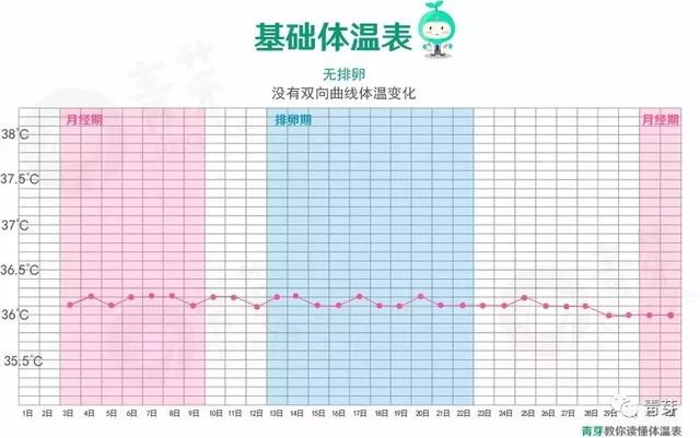 妊娠超初期 日中 体温