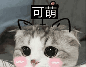 女生卖萌,男生哄老婆,猫咪表情包全搞定!