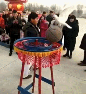 搞笑gif趣图:你也曾经有过夹不起菜的尴尬吗?