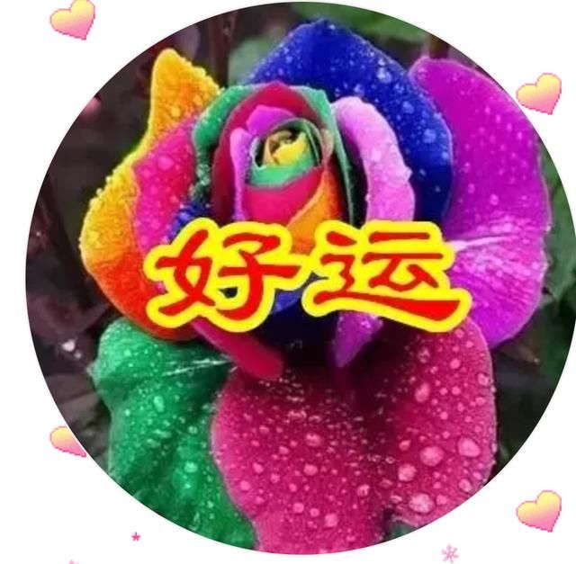 一朵好运花,好运连连