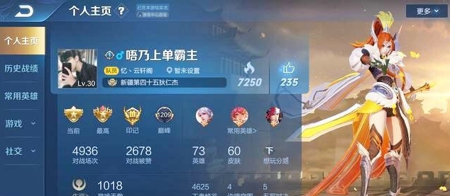 王者荣耀:个人主页5款皮肤,让你摆脱"伪大神",别再放李白了