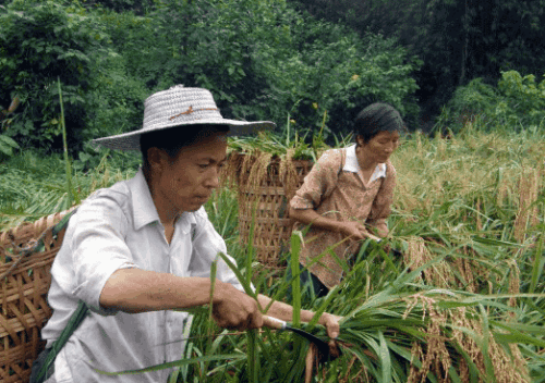 为何古代王朝都要重农抑商?管仲为名不愧相,一言就把课件讲透了道理小班v课件小不点语言图片