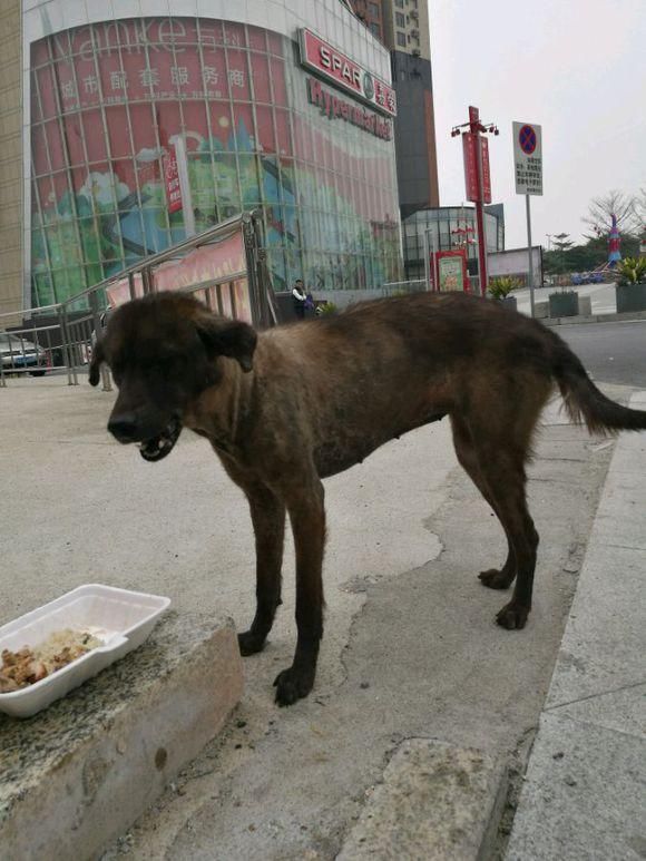 梦境解析,为何频繁梦见牙齿掉光?探索梦境背后的深层含义 梦境解析,为何频繁梦见牙齿掉光?探索梦境背后的深层含义