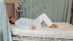 动物 鸽 鸽子 鸟 鸟类 280_158 gif 动态图 动图