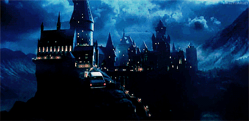 最好能进学院的魁地奇队打比赛,赢了比赛后大家一起在公共休息室吃着