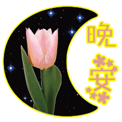 晚安动态带字图片 晚安图片表情包