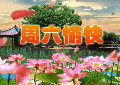 早上好,送你七个愿望,祝你周六愉快!