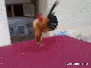 搞笑gif图:有这么可爱的女同学,我保证你会再逃课了!