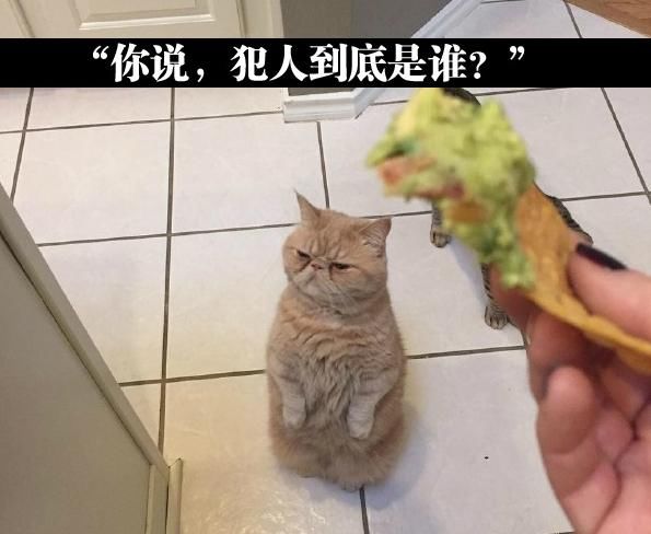 搞笑囧图:坐着的兄弟一副愉悦的表情