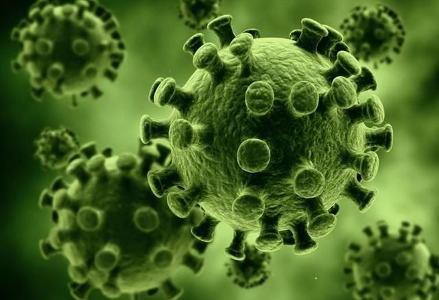 细菌是生物吗？_炭疽是细菌还是病毒_病毒和细菌是生物吗