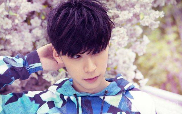 歌手王个人资料简介