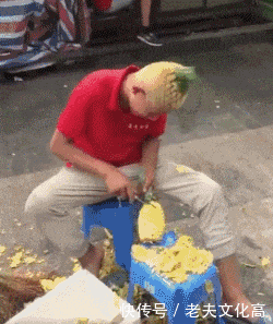 搞笑gif: 都给老子让开, 牛哥要起飞了.