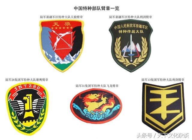 中国特种部队臂章一览真是太全了,珍藏版!(组图)