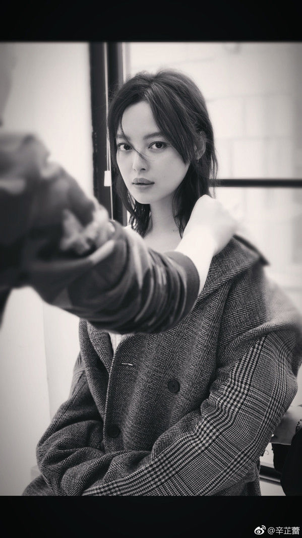 凭啥她是舒淇之后中国最主题的女演员?辛芷蕾裸性感性感半图片