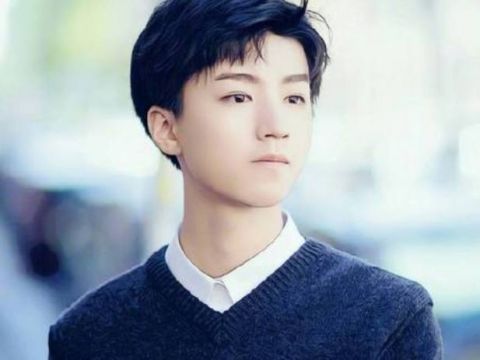 娱乐圈姓王的5位男星,王源,王凯超帅