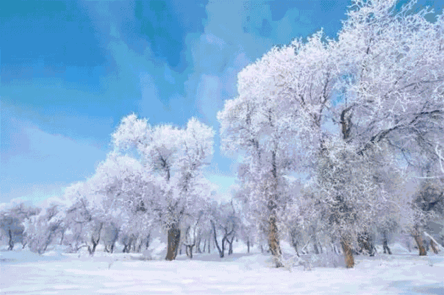 看雪真的没必要非去东北!雪景,我只服新疆!