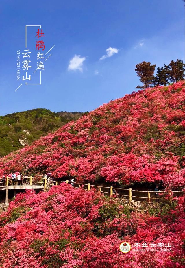 木兰云雾山景区发布旅游红色预警的公告-北京时间