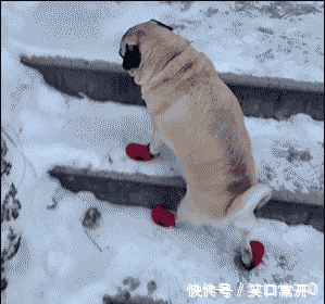 搞笑幽默的动态图gif 热烈庆祝你离婚快乐