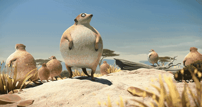 欢迎观看—— 《如果动物界里都是胖子》